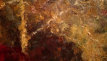 joeleone_website0030116.jpg