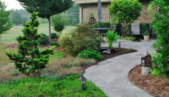 joeleone_website006005.jpg